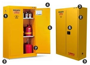 The Safety Star® Flammable Safety Storage Cabinet